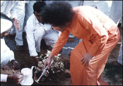 Swami planting a tree